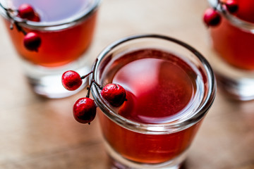 Cranberry cocktail shot with vodka