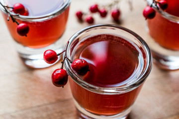 Cranberry cocktail shot with vodka