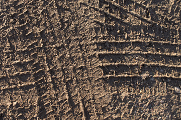 Tire Tracks on Gravel