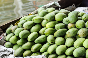 Group of Green mangoes, tropical fruits, Thailand