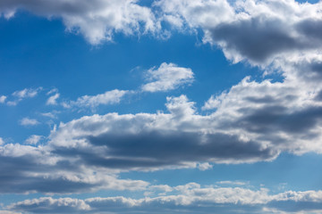 Fototapeta premium Puffy white and gray clouds in a dark blue sky. Texture and backgrounds.