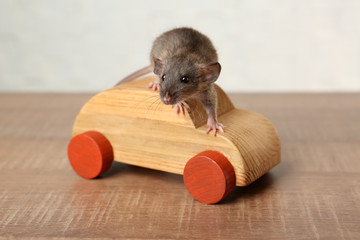 Cute funny rat and decorative wooden car on table