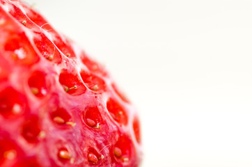 Fresh strawberry in detail