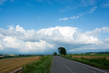 夏空と一本道