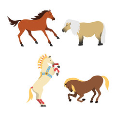 Horse pony stallion isolated different breeds color farm equestrian animal characters vector illustration.
