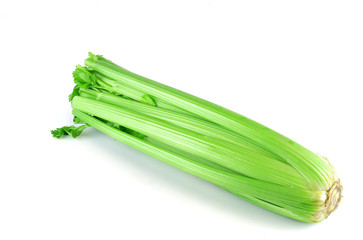 celery on white background