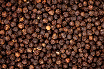 closeup dried black pepper as background