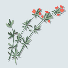 Red Flower Bloom on Branch Icon Illustration Vector