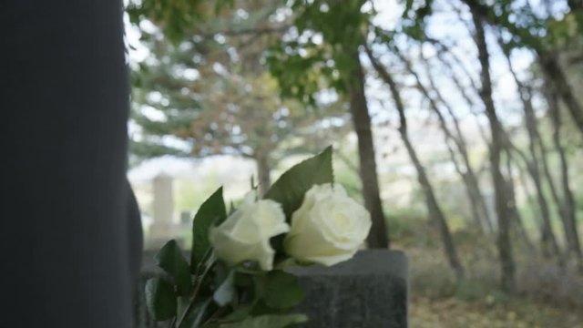 Slow motion woman placing rose on top of grave stone in Cemetary