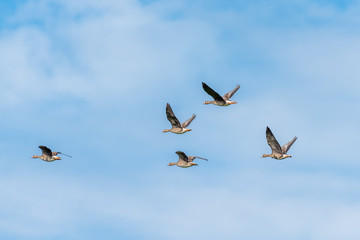Merced National Wildlife Refuge