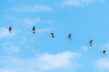 Merced National Wildlife Refuge