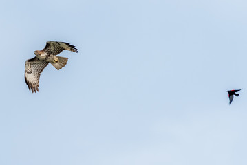Merced National Wildlife Refuge