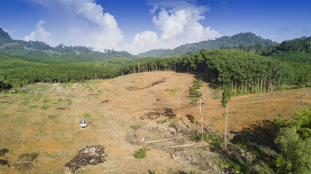 Deforestation. Logging. Aerial drone view of environmental destruction of rainforest