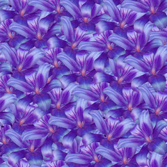 Seamless infinite  background floral. Purple-blue flowers lily.  For design and printing. Background of natural  flowers. Wall-papers.
