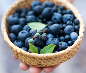 fresh blueberries