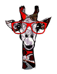 Naklejka premium Żyrafa w okularach przeciwsłonecznych
