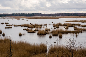 swamp view with lakes