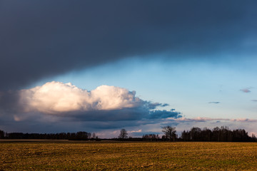 Fototapeta na wymiar fields in country under blue sky with white clouds