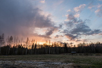 fields in country under blue sky with white clouds