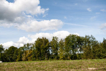Fototapeta premium fields in country under blue sky with white clouds