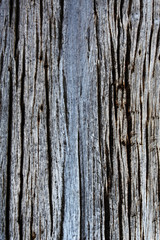 Texture of old wooden board