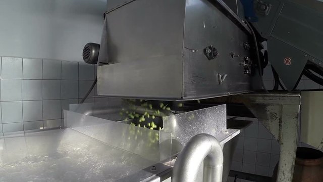 The process of olive washing in a modern oil mill