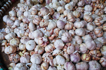 close up of garlic on market