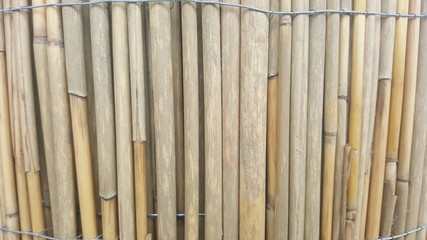 Texture of yellow bamboo fence for background