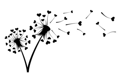 Obraz premium Mniszek lekarski z sercami.