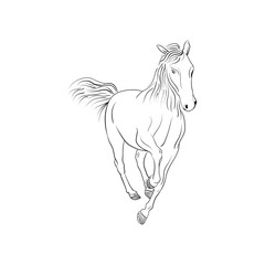 Obraz na płótnie Canvas outline horse