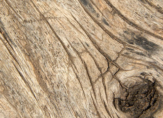 Obraz premium old wooden texture background