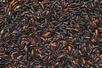 Pile of black rice
