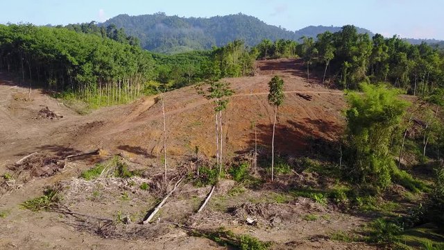 Deforestation. Logging. Aerial drone footage of environmental destruction of rainforest