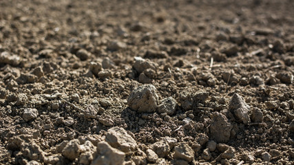 Plowed and cultivated barren soil on the field - dry weather.