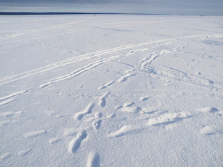 trails on the lake in winter