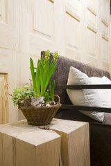 rustic interior design with hyacinth plant n the wicker basket