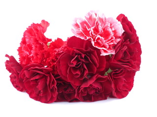 Bouquet on white background