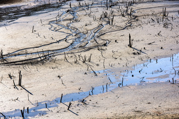 Estuary of small river, mud and sediment. Branches of trees above the surface of a wide flooded river or lake in Romania.
