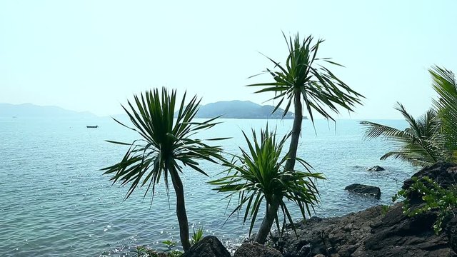 Stone island with palm trees in ocean. Boat on horizon of sea.