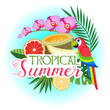 Vector illustration of tropical palm leaves, exotic colourful parrot, fruits and flowers.