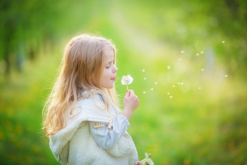 little girl blows off fluff from a bouquet of dandelions, standing in the middle of an apple orchard. Seeds fly through the air