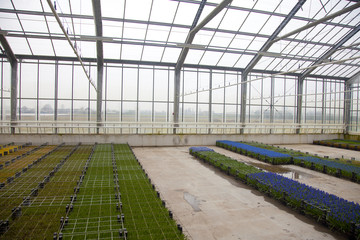 Glass house with flowers