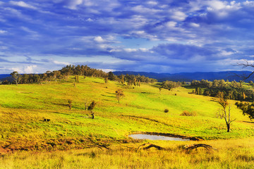 Fototapeta premium BM Hills Water Pit Grazing