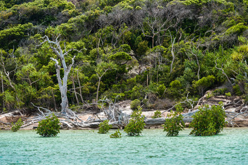 Whitehaven Beach, Whitsundays