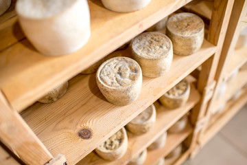 Goat cheeses aging on the wooden selves at the cellar
