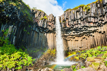 Fototapeta premium Svartifoss waterfall in Skaftafell national park, Iceland.