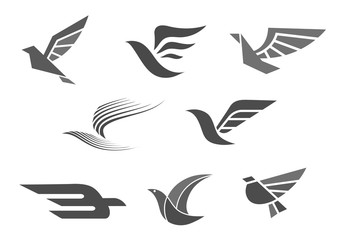 Bird and wings vector icon for company or brand corporate and business identity premium symbols design. Isolated templates set of dove, hawk or eagle birds with spread wing