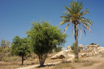 Park of Ashkelon in Israel