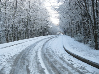 Fototapeta premium Winter in İstanbul