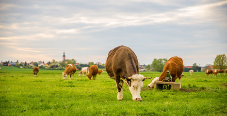 Landleben